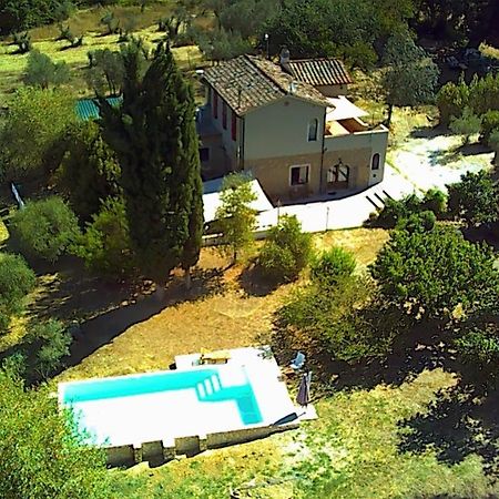 Le Giuncaie - Vigna Con Alloggio Montescudaio Exteriér fotografie