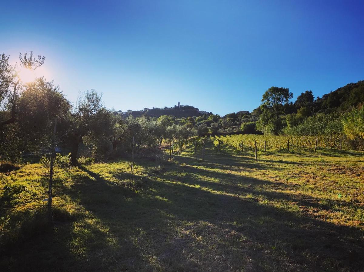 Le Giuncaie - Vigna Con Alloggio Montescudaio Exteriér fotografie