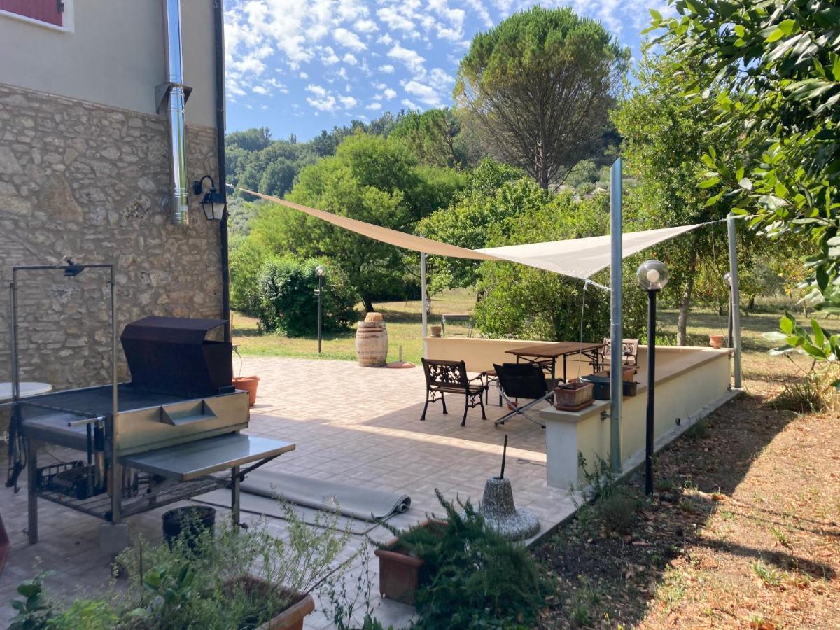 Le Giuncaie - Vigna Con Alloggio Montescudaio Exteriér fotografie