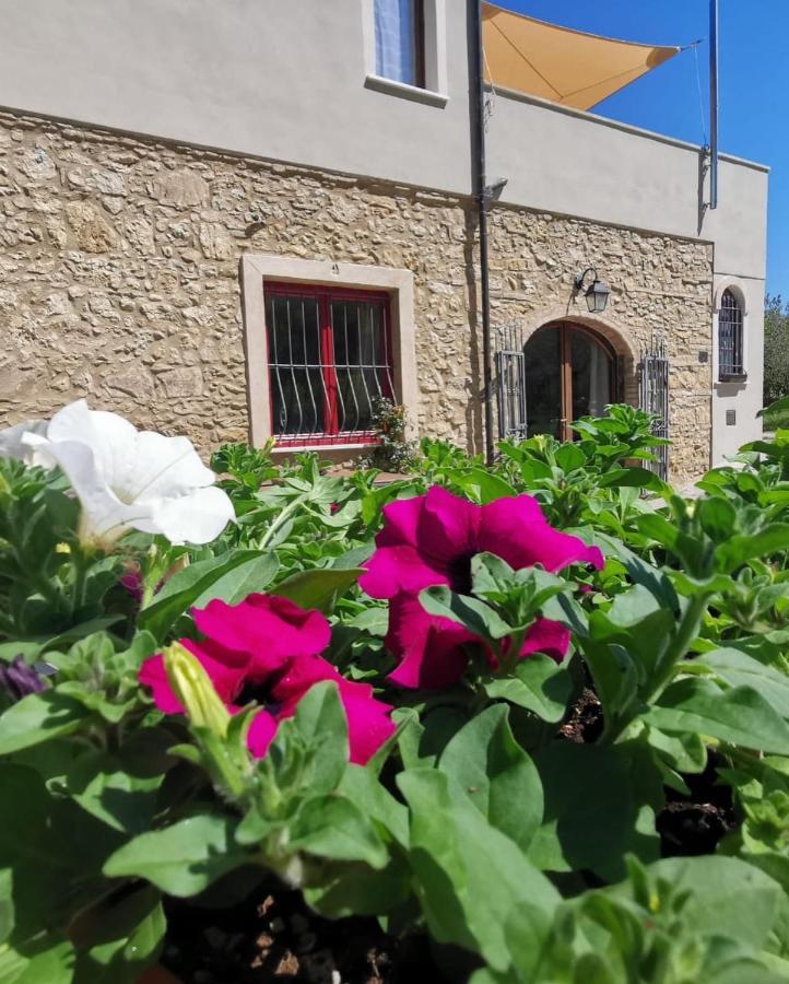 Le Giuncaie - Vigna Con Alloggio Montescudaio Exteriér fotografie