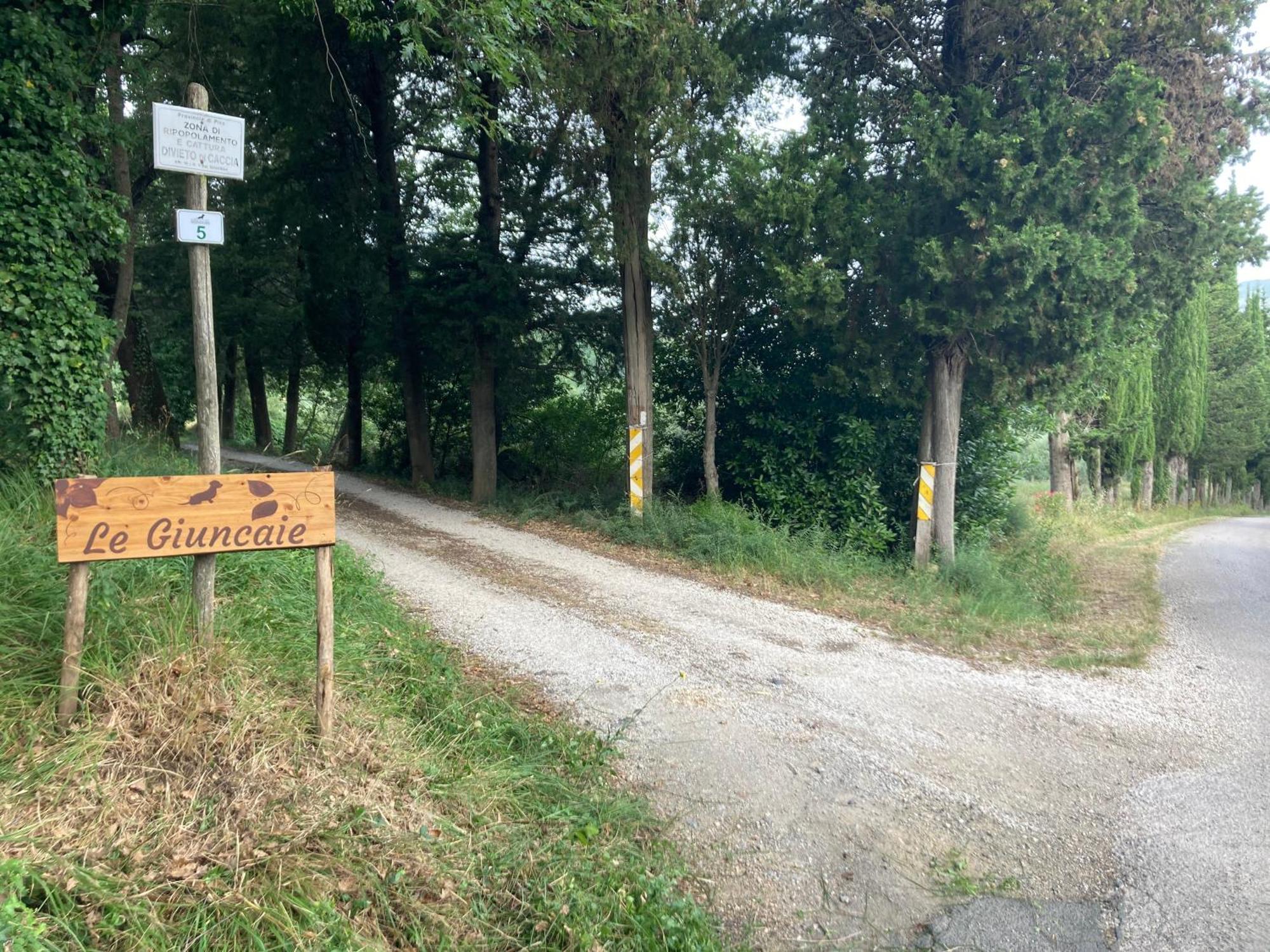 Le Giuncaie - Vigna Con Alloggio Montescudaio Exteriér fotografie